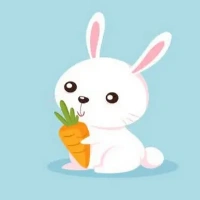 Rabbit Jump Adventure